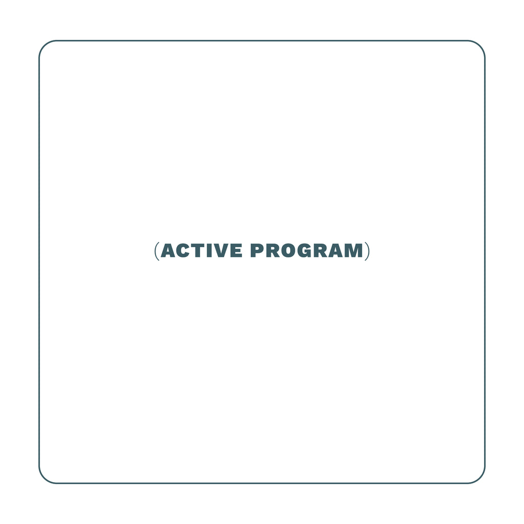 ACTIVE PROGRAM