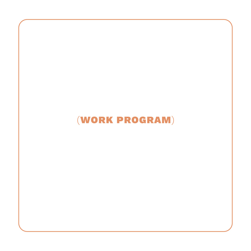 WORK PROGRAM